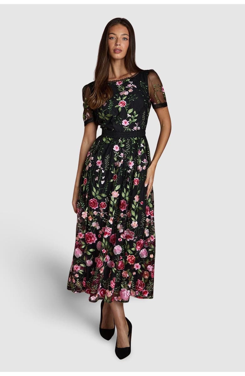 Coast Lace Trim Embroidered Mesh Midi Dress, Main, color, Black