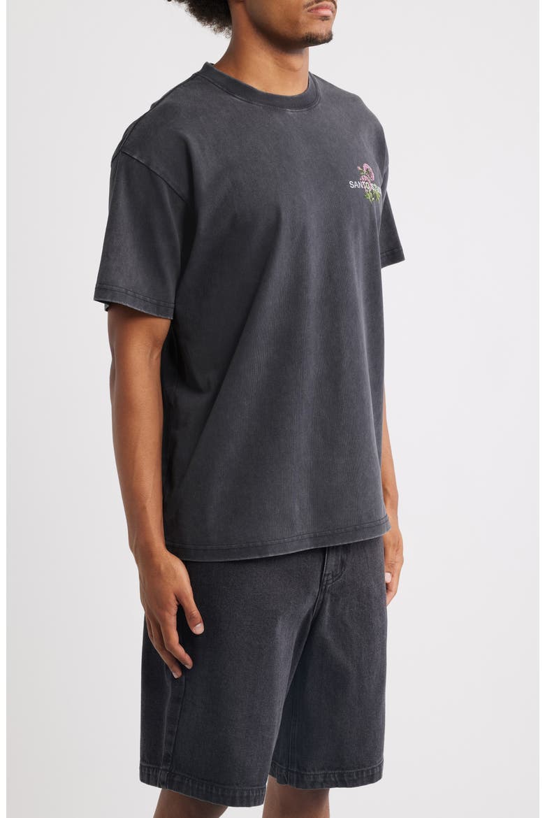 Nature Club Cotton Graphic T-Shirt, Alternate, color, BLACK FADE