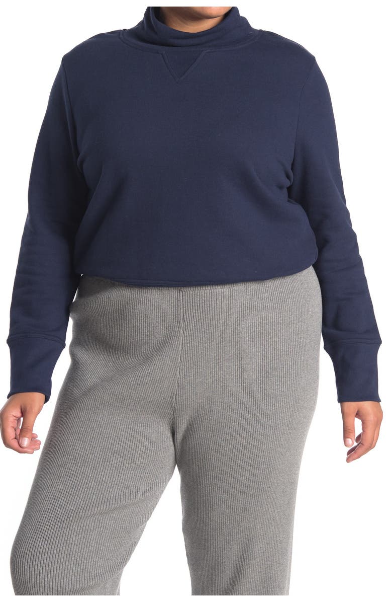 Madewell Turtleneck Sweater, Alternate, color, 