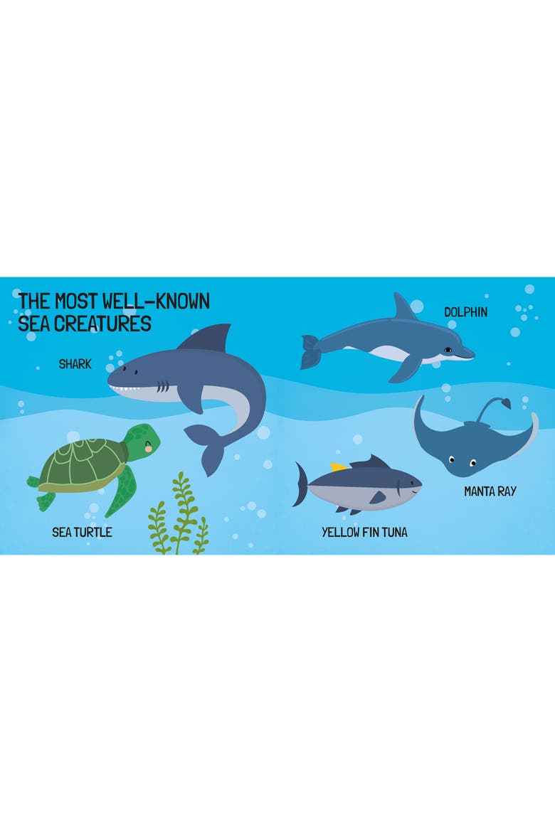 Q Box The Sea Read Play Learn Underwater 40 Piece Set, Alternate, color, Multicolored