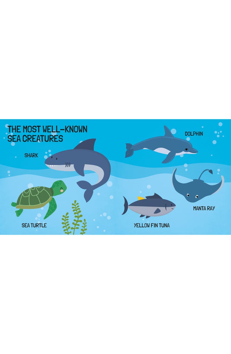 Sassi Q Box The Sea Read Play Learn Underwater 40 Piece Set, Alternate, color, Multicolored