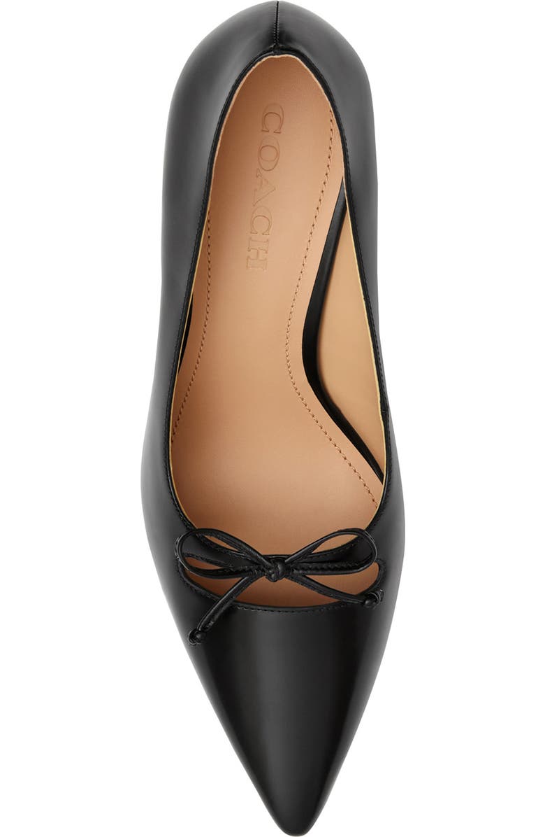 COACH Runway Pointed Toe Pump, Alternate, color,
