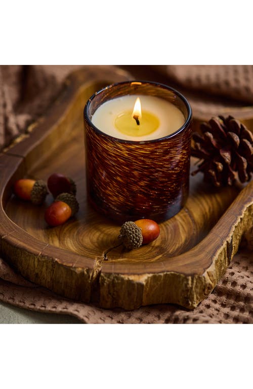 Lafco Spiced Pomander Signature Candle In Brown