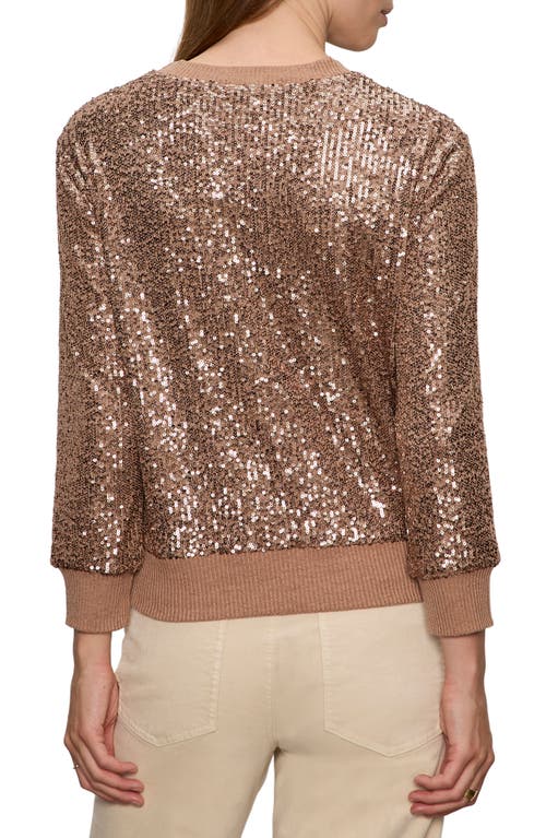 Sanctuary Relaxed Sparkle Knit Top In Brown
