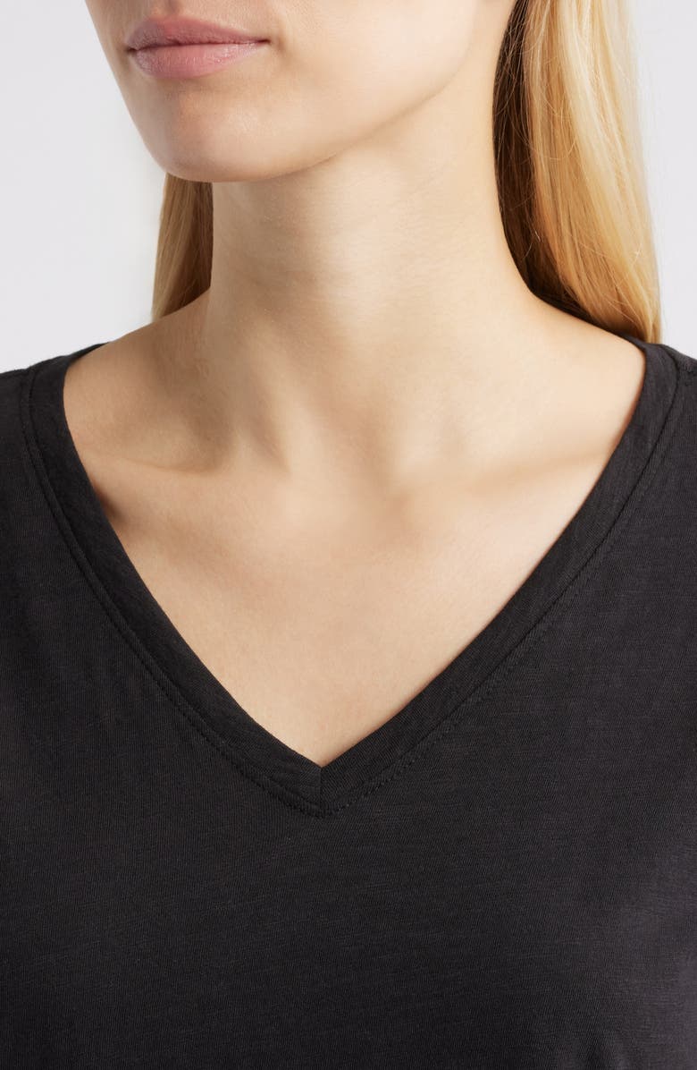 Eileen Fisher Easy Organic Cotton V-Neck T-Shirt, Alternate, color, Black