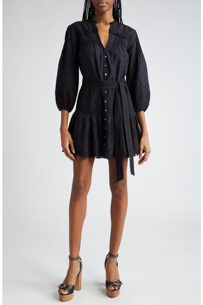Chrisjen Embroidered Cotton Minidress, Main, color, BLACK