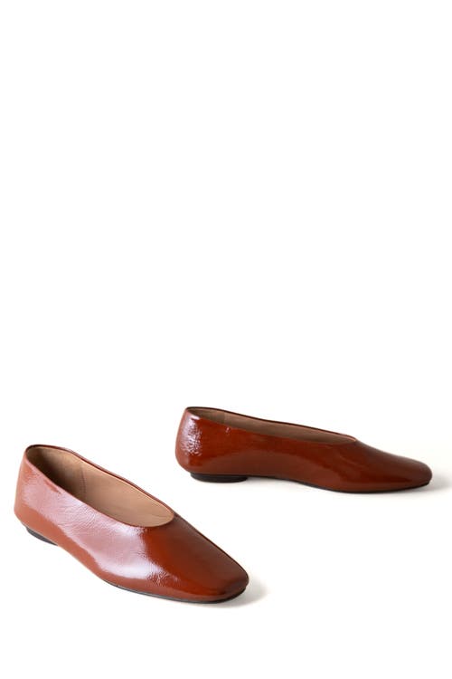Huma Blanco Margaux Ballet Flat In Animal Print