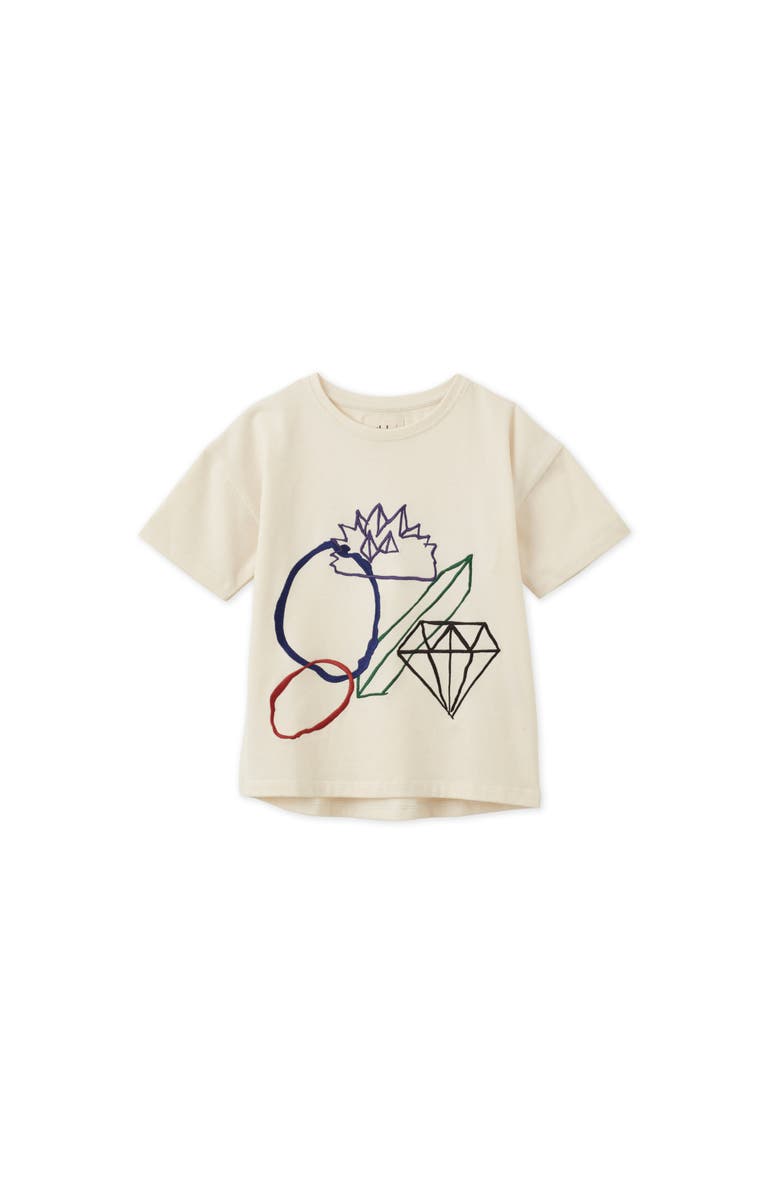 Vild House of Little Vild Lab No. 12 - Earth Rocks!, SS Embroidered Organic Cotton T-Shirt, Main, color, Earth Rocks Print
