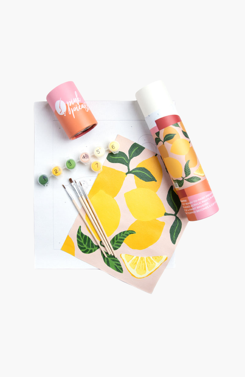 Be Zesty Paint by Numbers Kit