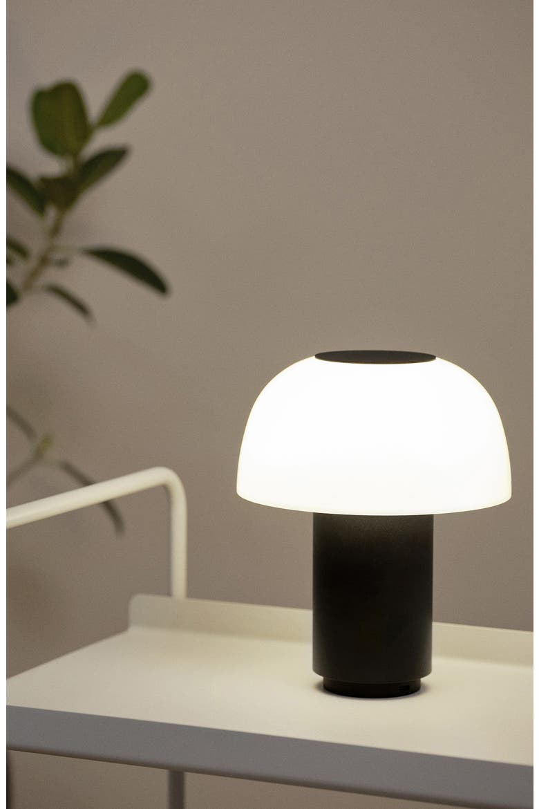 Harvest Moon Indoor/Outdoor Lamp, Alternate, color, BLACK