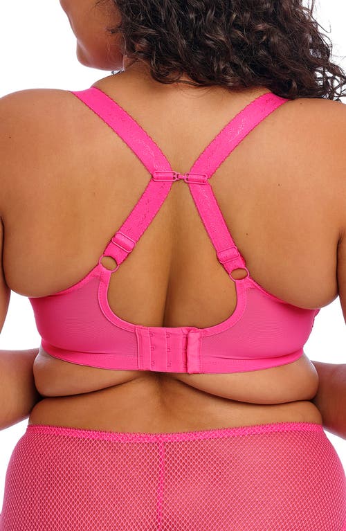 Elomi Charley Full Figure Underwire Plunge Bra In Pink