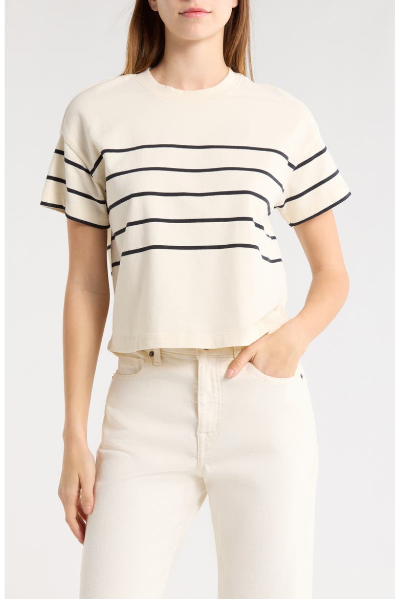 Stripe Cotton T-Shirt, Main, color, BLACK/ WHITE STRIPE