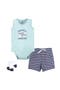  Handsome Shark