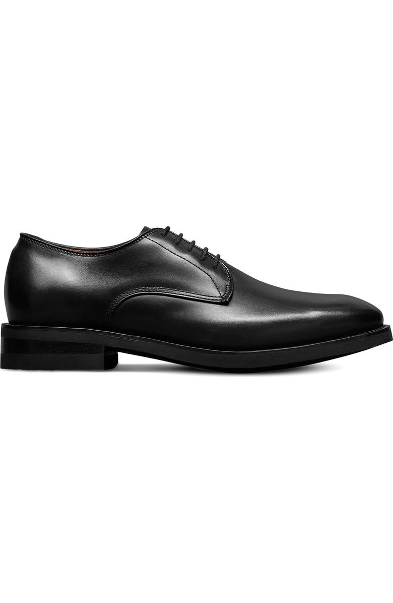 Allen Edmonds Ramsey Derby, Alternate, color,