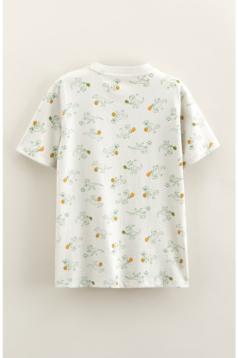 Kids' Graphic T-Shirt, Alternate, color, GREY TILE DINO SPORTS