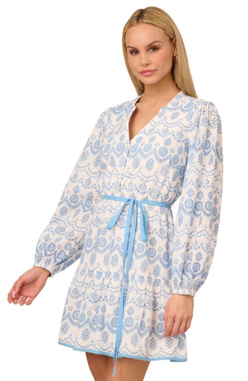 Shop Adrianna Papell Long Sleeve Cotton Minidress In Light Blue/ivory