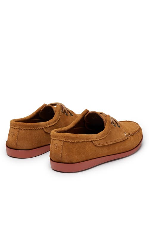 Quoddy Blucher Shoe In Brown