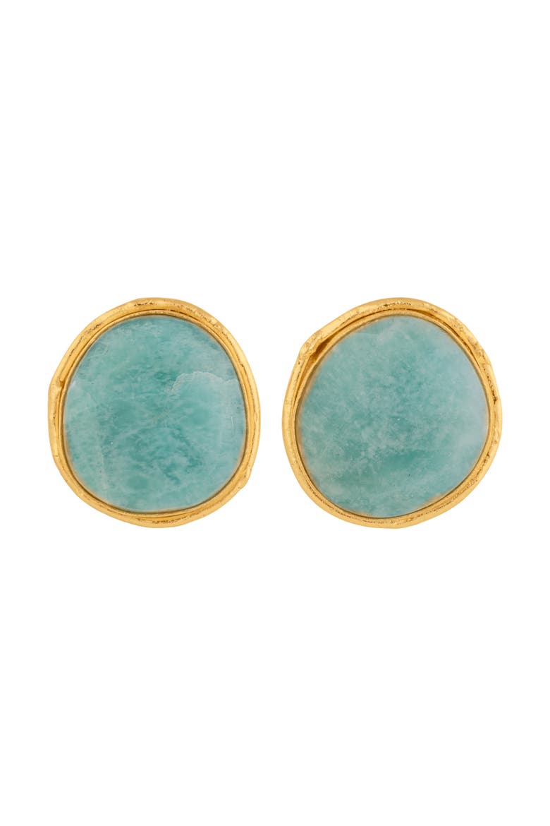 Macaron Earrings, Main, color, AMAZONITE