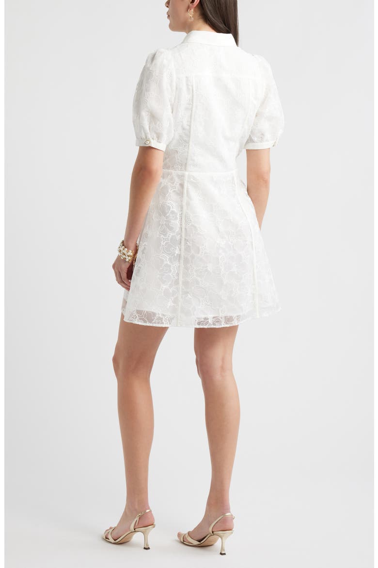 Floral Embroidered Puff Sleeve Minidress, Alternate, color, IVORY CLOUD