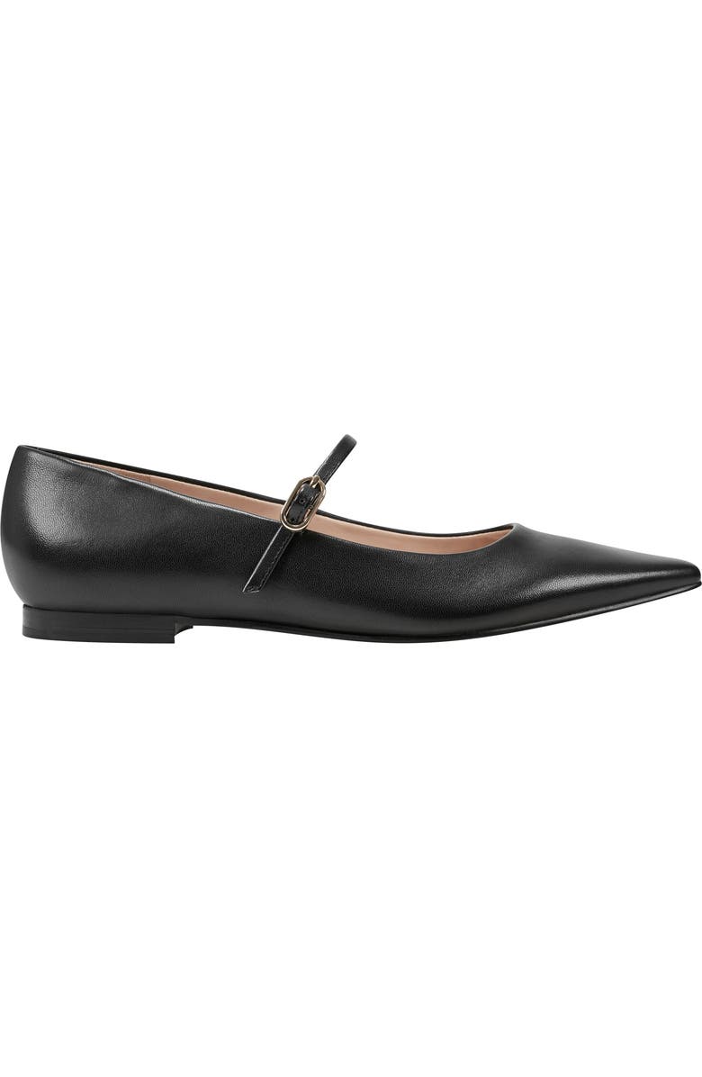 Marc Fisher LTD Daner Pointed Toe Flat, Alternate, color, Black
