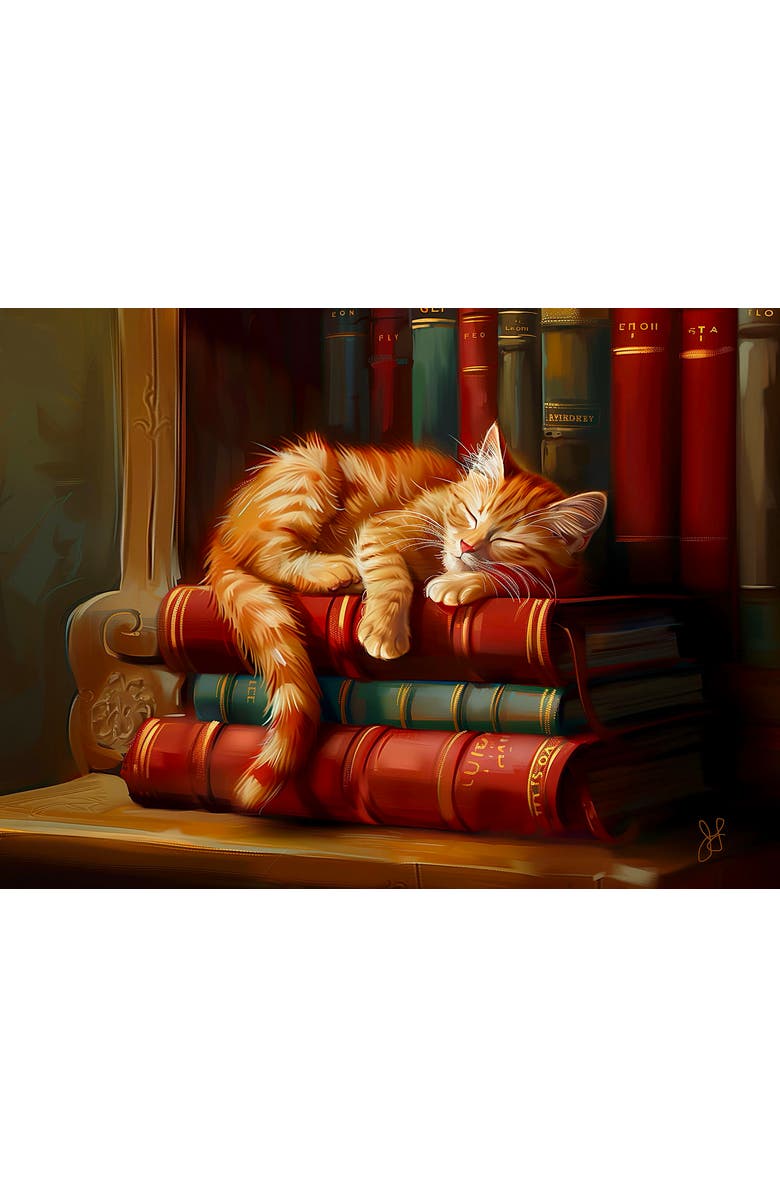 Sunsout Library Nap 1000 piece Jigsaw Puzzle for Adults, Alternate, color, Multicolor