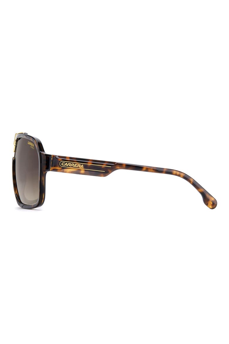 64mm Oversize Gradient Navigator Sunglasses, Alternate, color, HAVANA/ BROWN