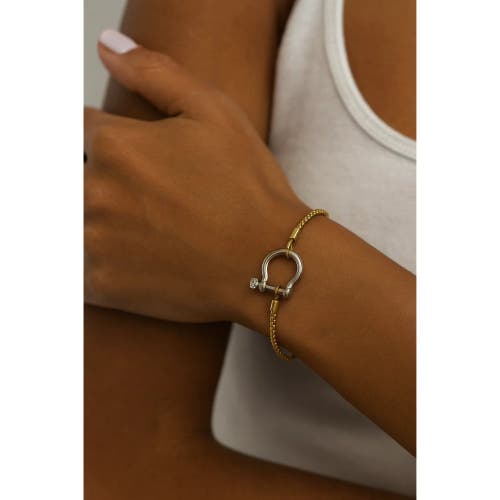 Hollywood Sensation The Lucky Lock Horseshoe Carabiner Clasp Bracelet In Gold
