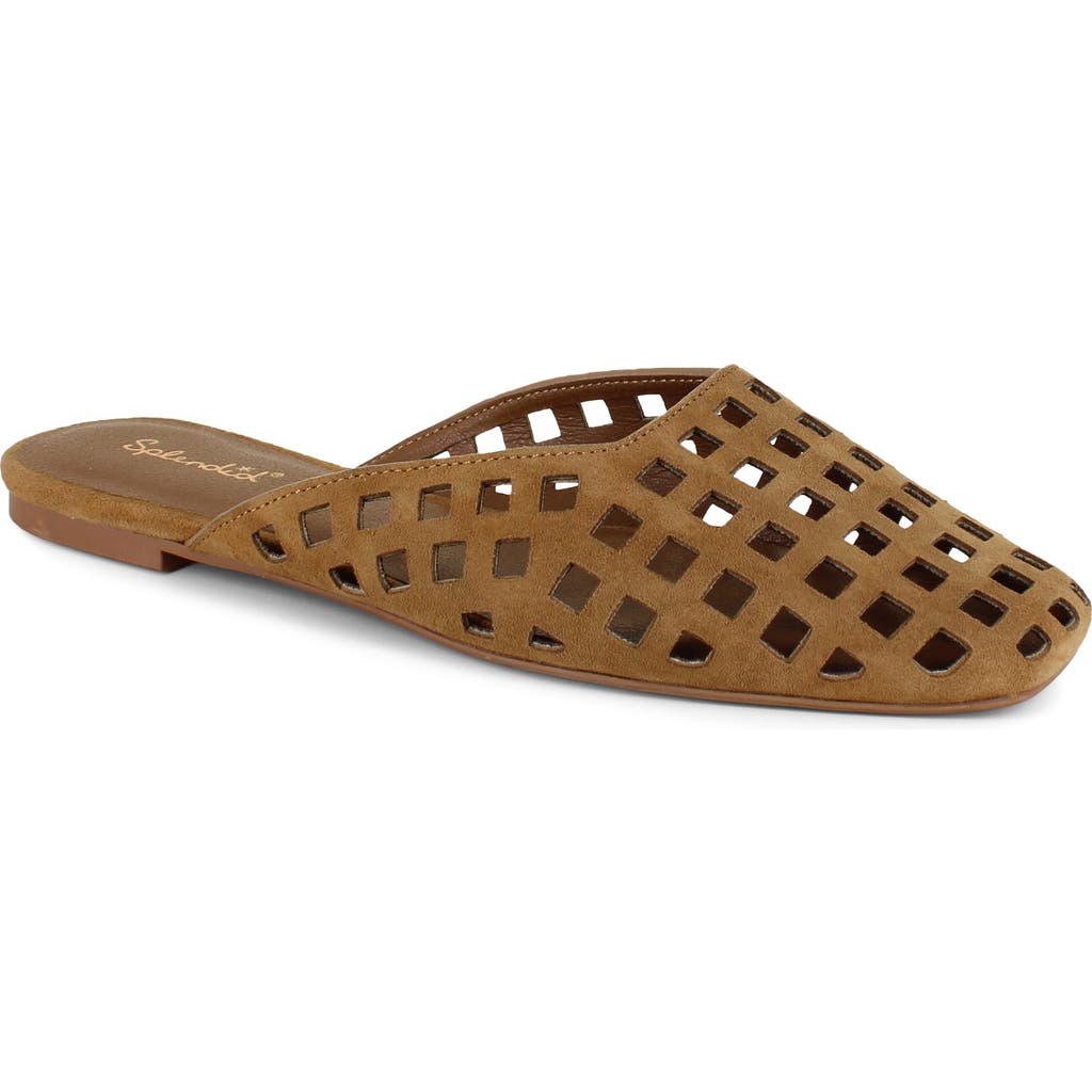 Splendid Remi Geo Cutout Flat In Brown
