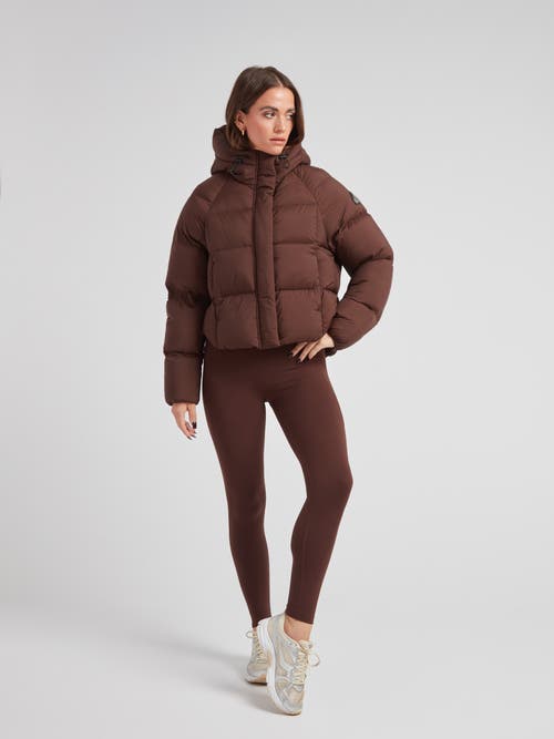 Jack1t Cloud Cropped Hooded Puffer Jacket In Brown
