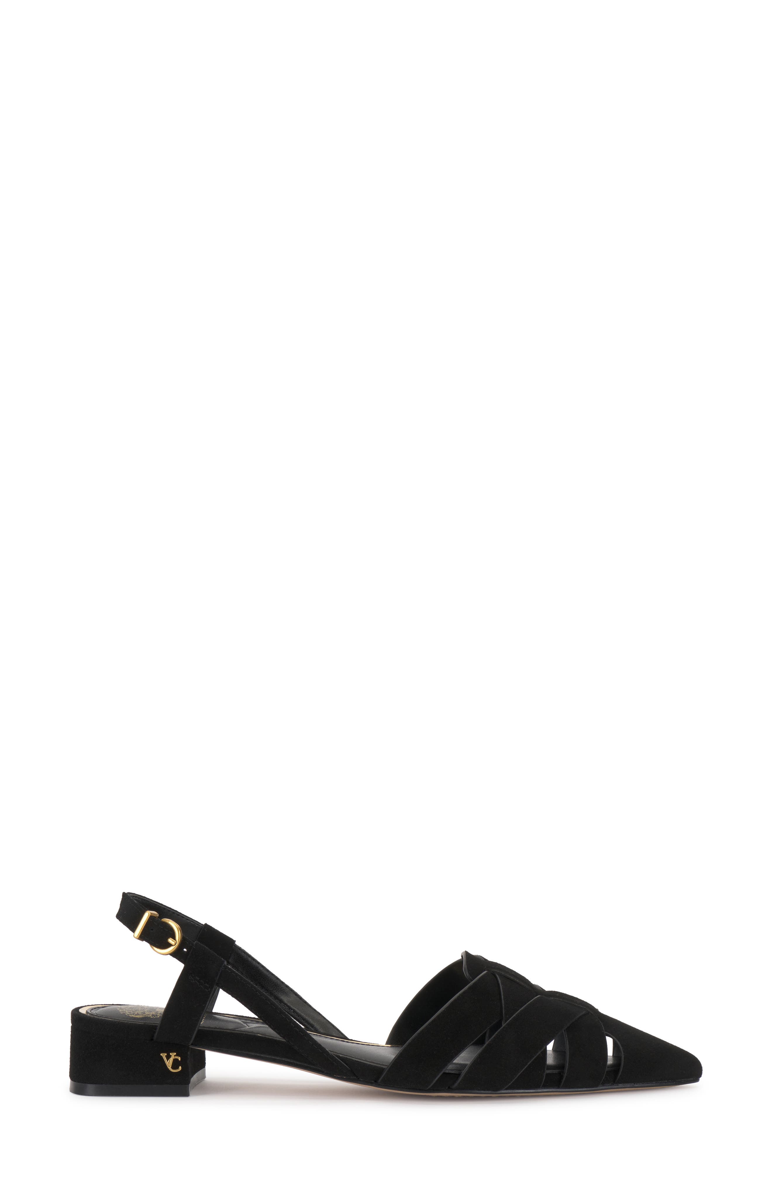 Vinesha Slingback Pointed Toe Pump, Alternate, color, BLACK