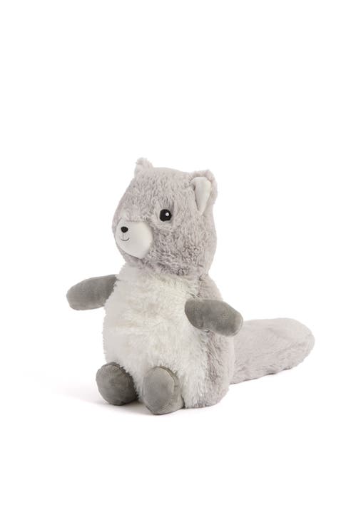 Squirrel Pet Toy Warmies