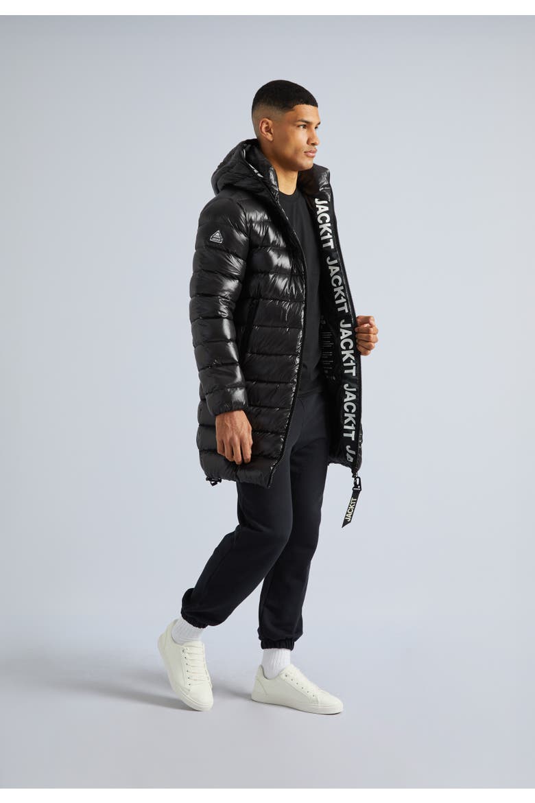 Down-Fill Hooded Coat, Alternate, color, Black