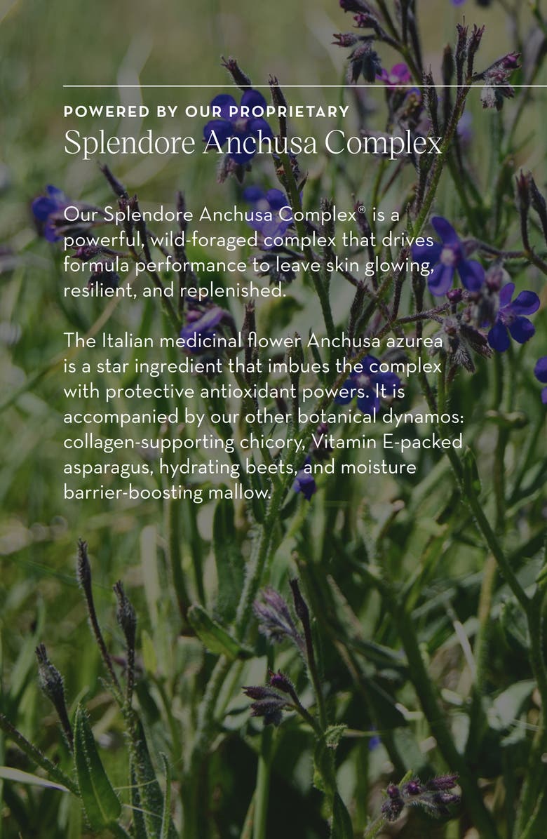 Furtuna Skin Micellar Cleansing Essence, Alternate, color, 