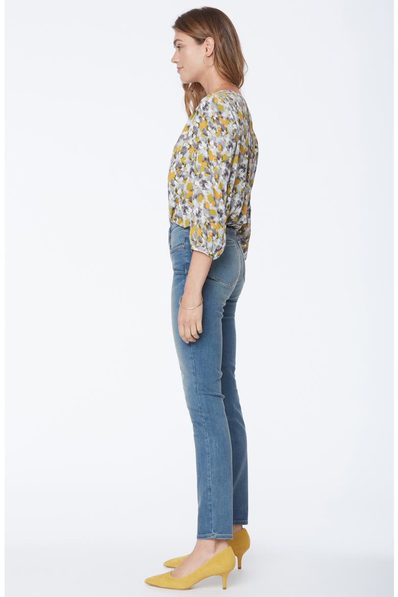 Alina Stretch Skinny Jeans, Alternate, color, CLAYBURN
