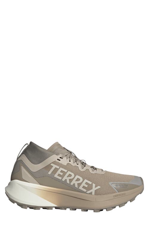 Adidas Originals Adidas Terrex Agravic Gore-tex® Trail Running Shoe In Brown