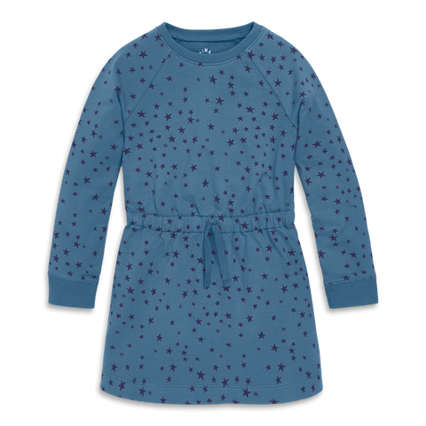 Kids Sweatshirt Dress (Toddler, Little Kid, Big Kid)