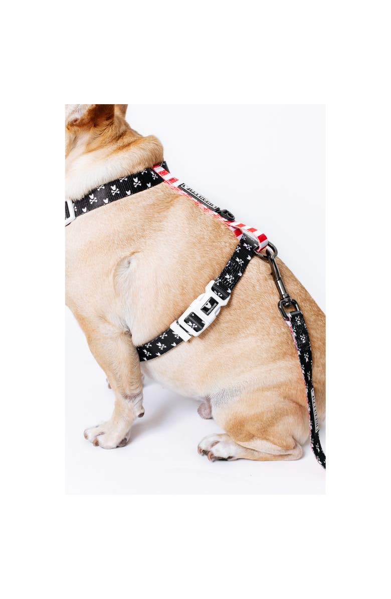 Frenchie Strap Harness, Alternate, color, Bad To The Bone