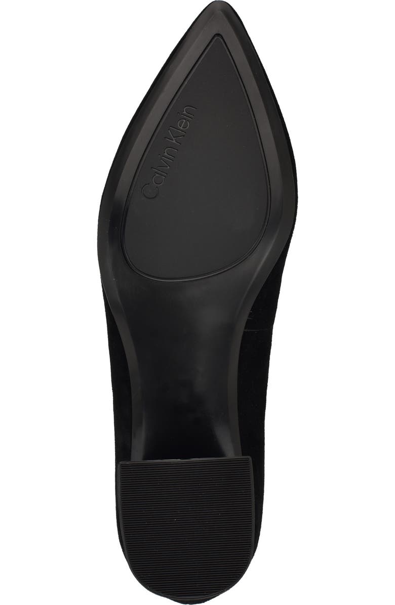 Calvin Klein Lenott Pointed Toe Pump, Alternate, color,