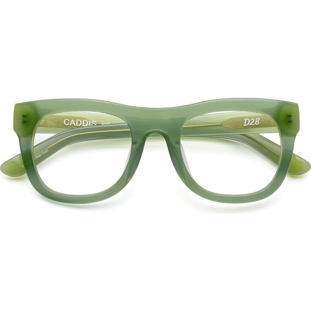 Caddis D28 | Reading Glasses in Algae  product