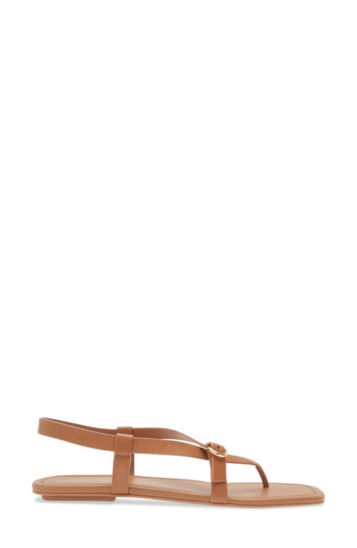 Stuart Weitzman Benni Sandalen Aus Leder In Tan