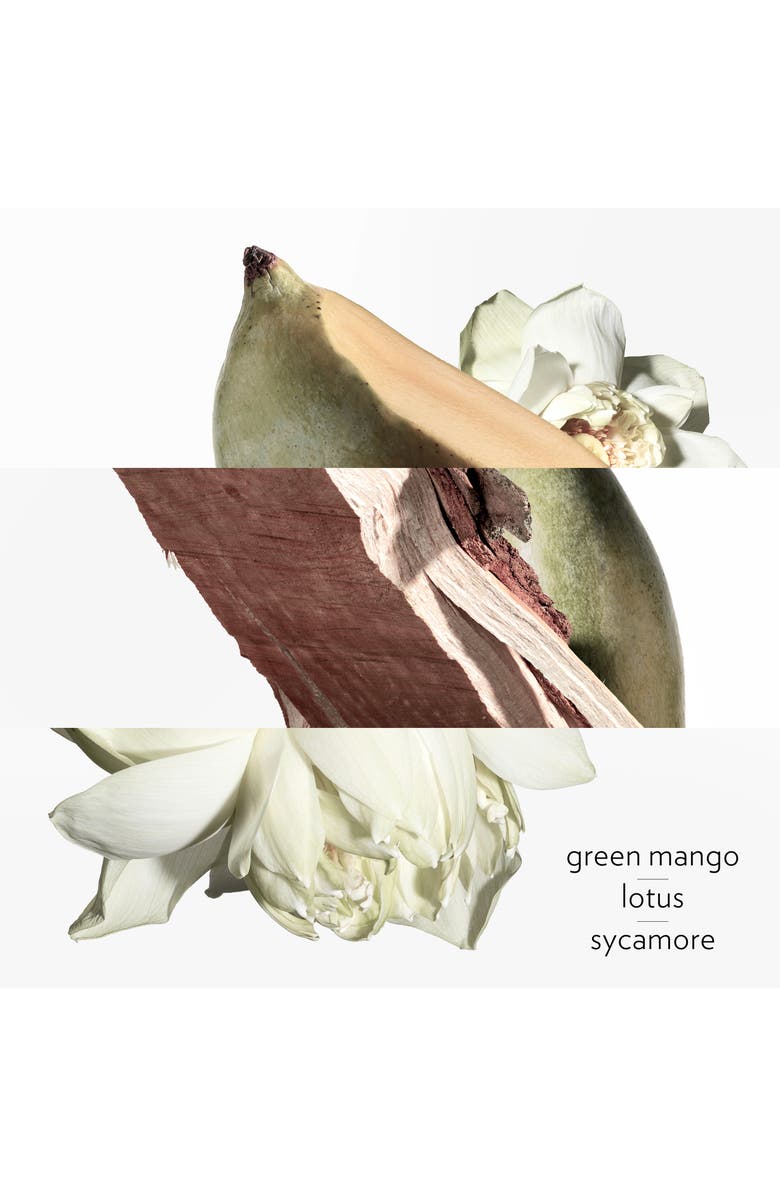 Hermès Un Jardin sur le Nil - Eau de toilette gift set, Alternate, color, 