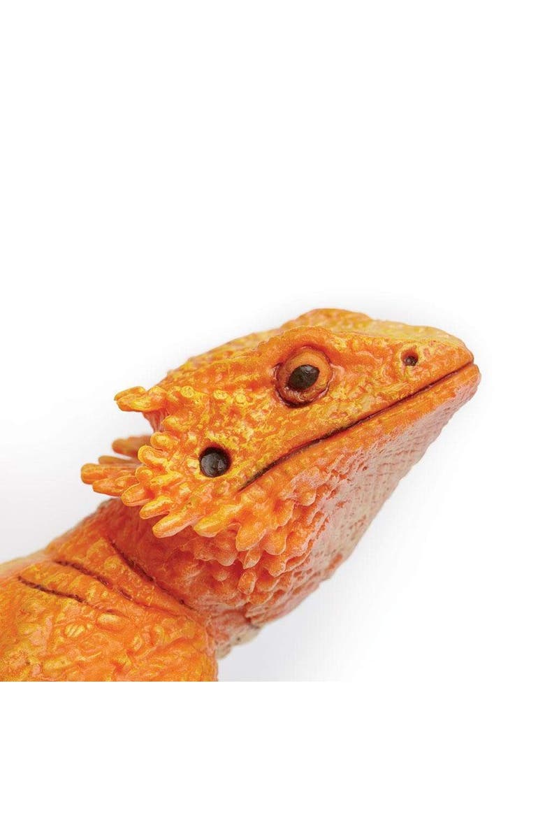 Bearded Dragon Toy, Alternate, color, No Color