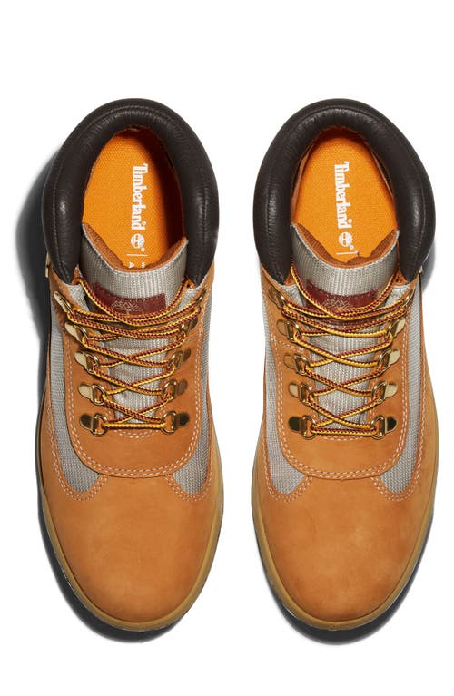 Timberland Field Waterproof Boot In Wheat