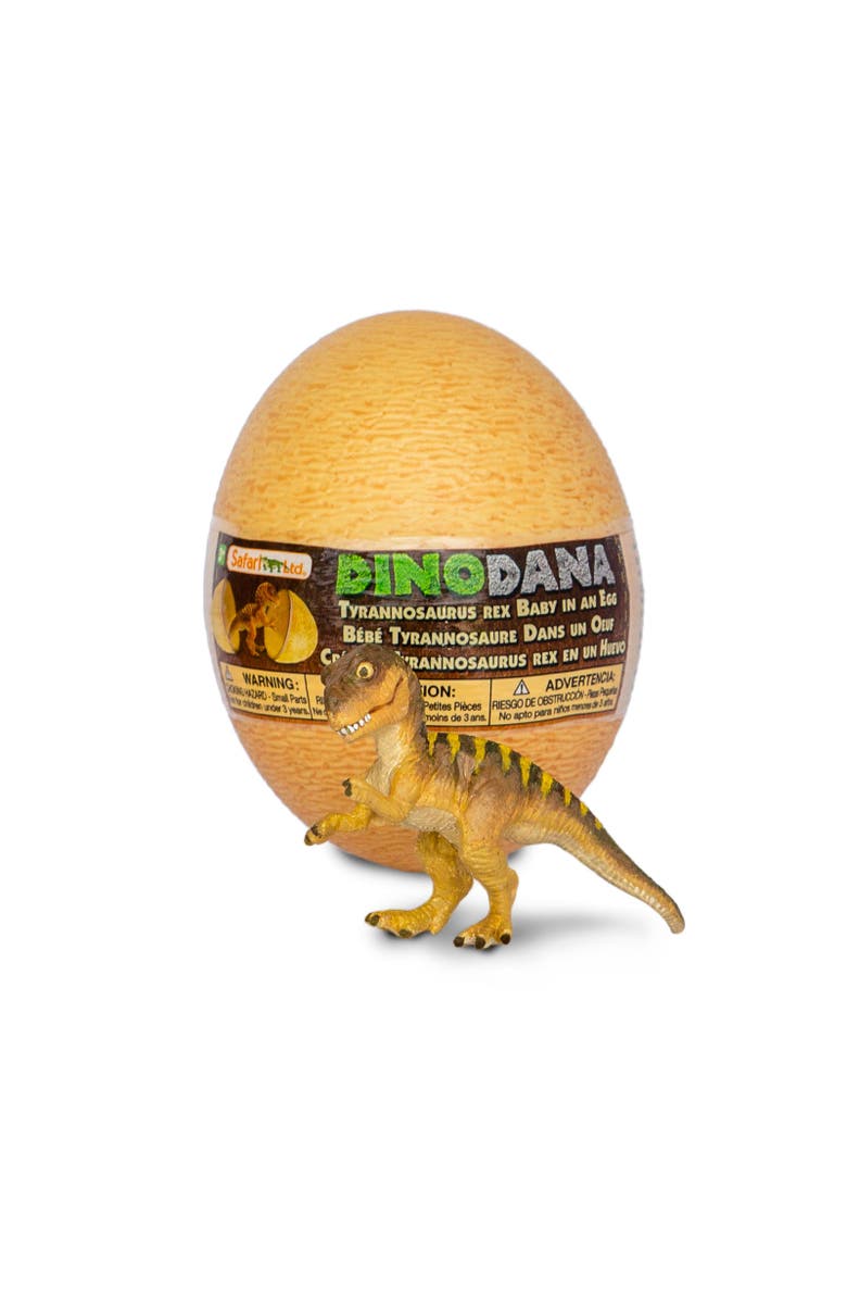 Safari Ltd. Dino Dana Tyrannosaurus Rex Baby with Egg Kids Toy Figure, Main, color, NO COLOR