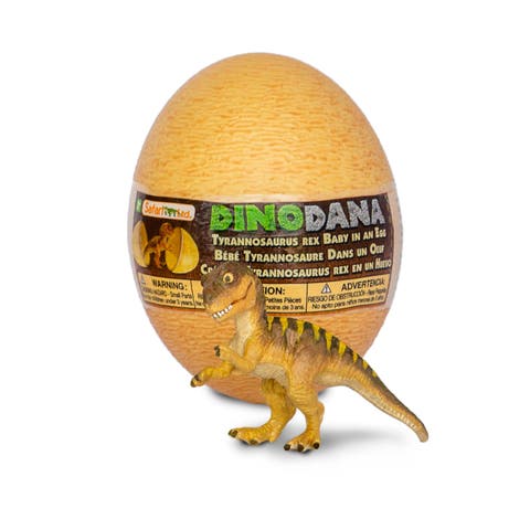 Dino Dana Tyrannosaurus Rex Baby with Egg Kids Toy Figure