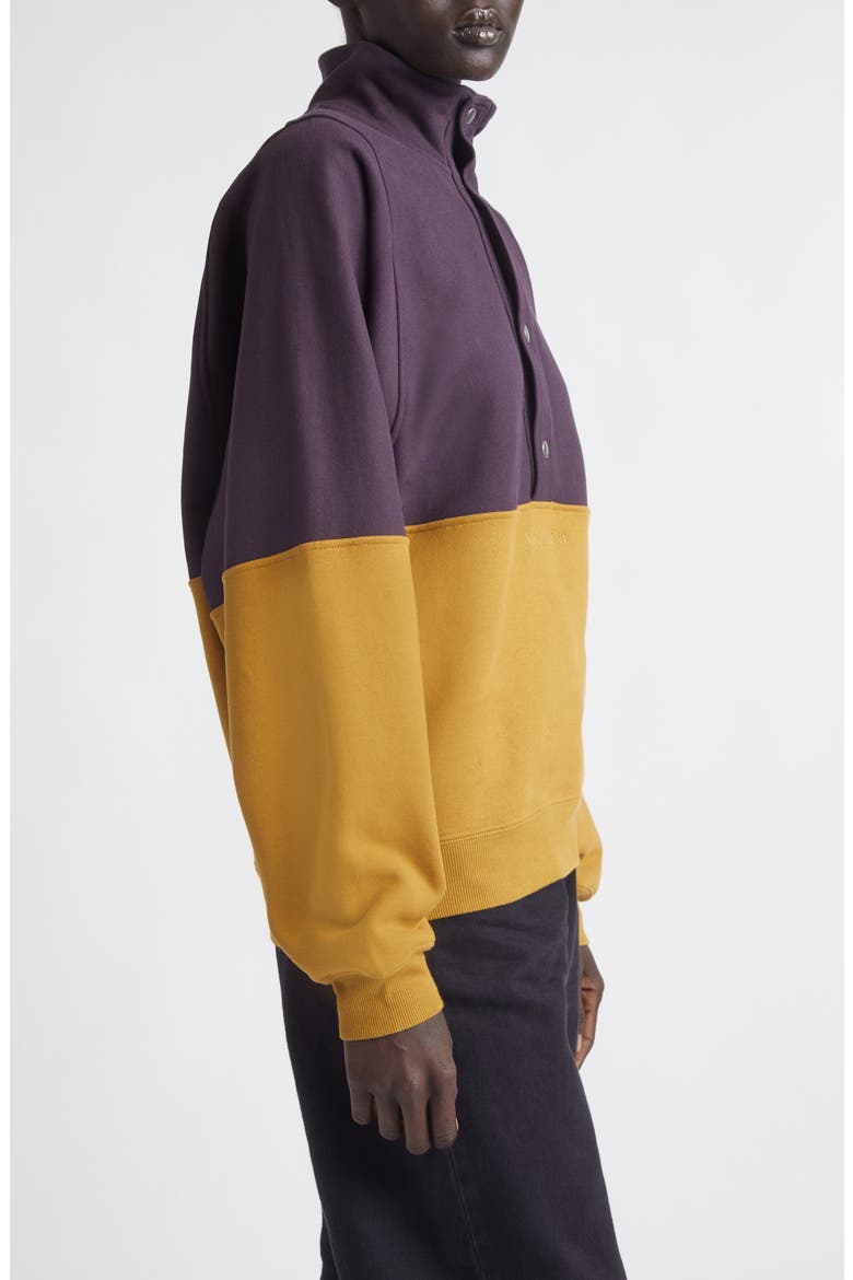 Colorblock Cotton Fleece Half Snap Sweatshirt, Alternate, color, RAISIN / MIEL FONCE