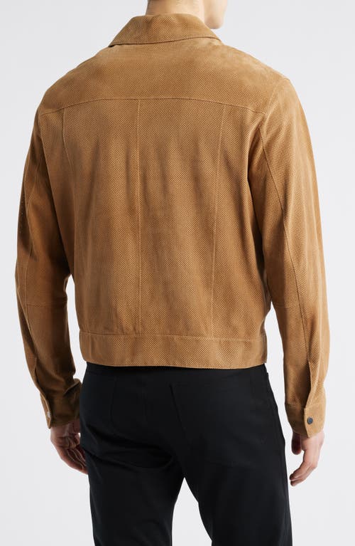 Emporio Armani Perforated Goatskin Suede Jacket In Sand