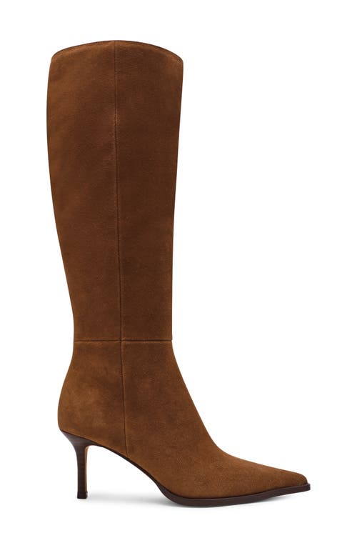Steve Madden Lingo Pointed Toe Knee High Boot In Multi