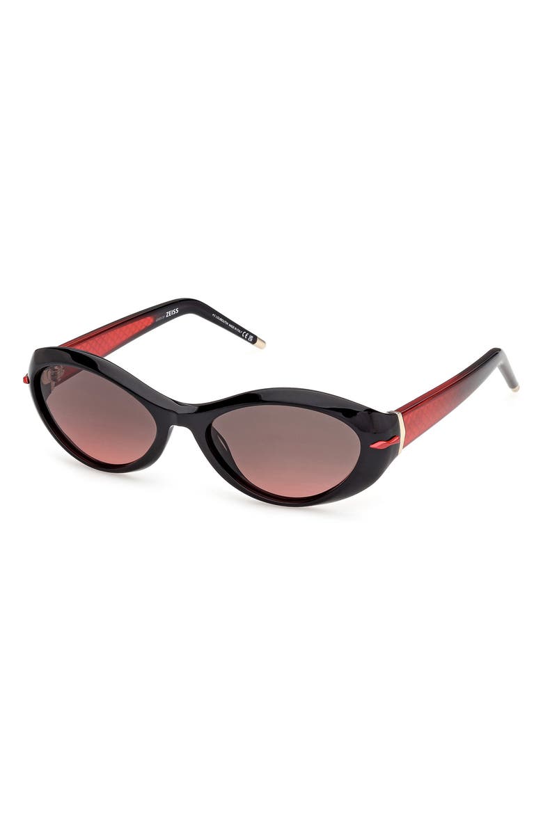 Christian Louboutin 55mm Oval Sunglasses, Alternate, color, 