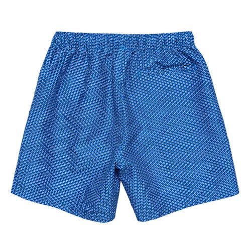 Snapper Rock 4 Way Stretch Swim Short In Blue